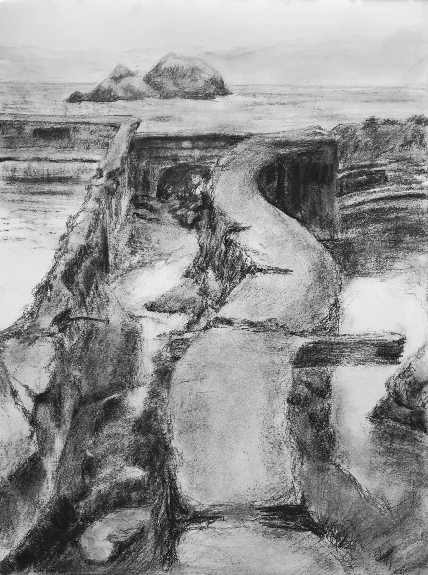 Ancient Swimmer